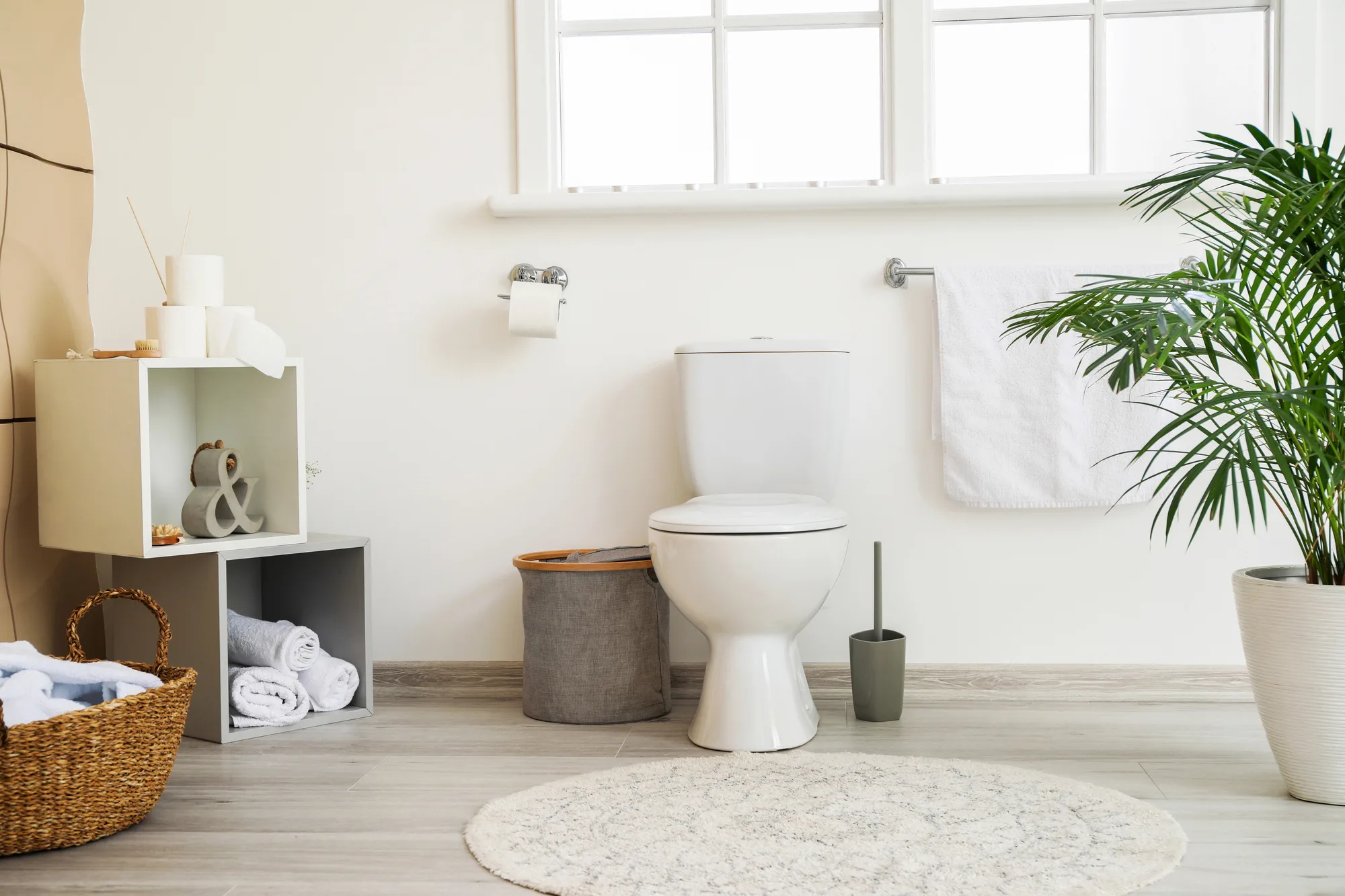Fresh white renovated toilet room with compact storage and indoor plant